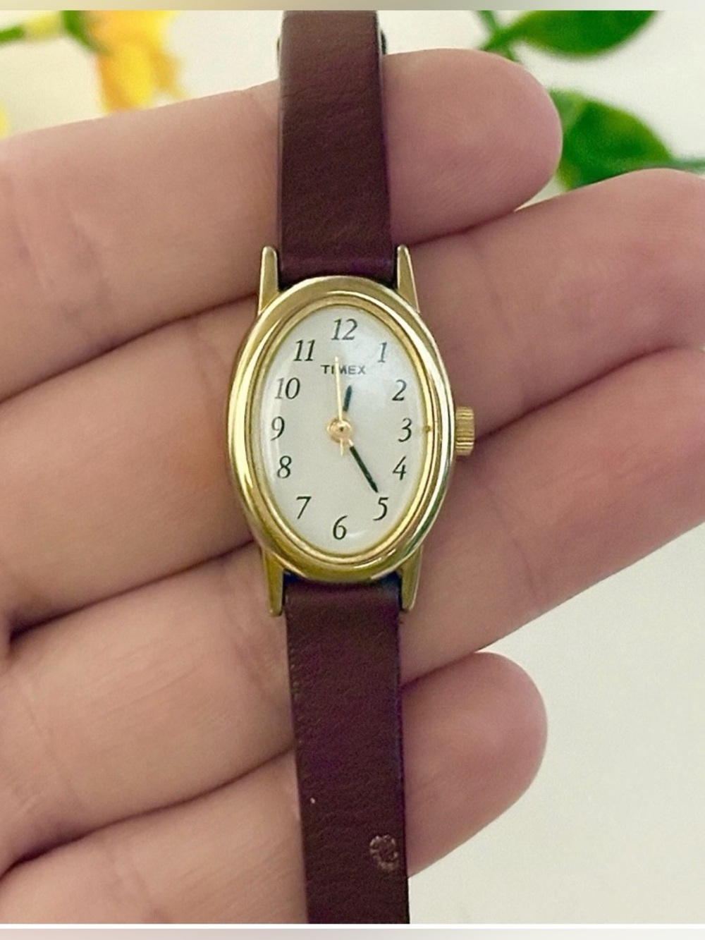 Timex Cavatina Classic Gold Oval Easy Reader Slim Retro Red Leather Casual Watch